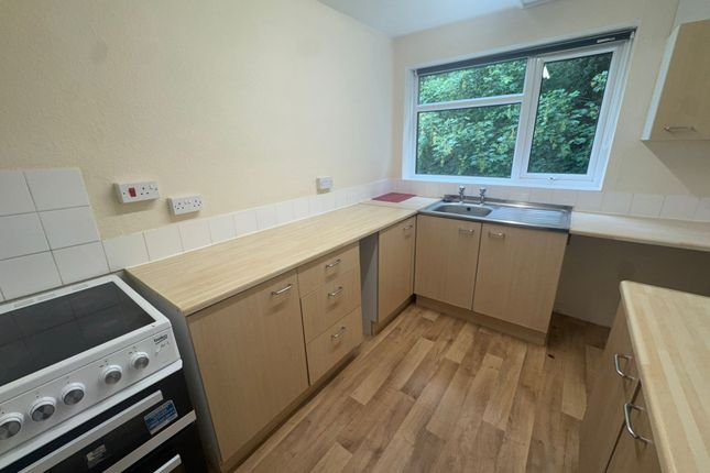 36, Birmingham photo 3