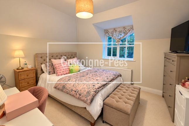 Haslemere photo 3