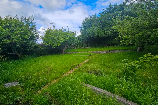 Gelli Aur, Parc Yr Onnen, Aberystwyth photo 3