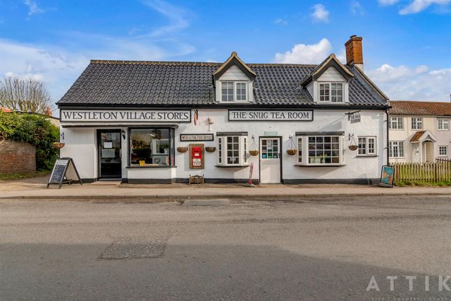 Thumbnail Cottage for sale in The Street, Westleton, Saxmundham