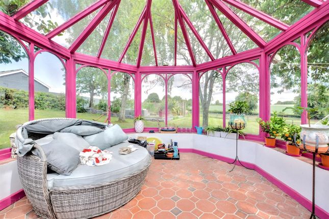 Summer House.Jpeg