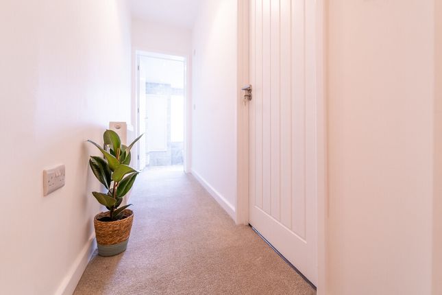 Terraced house to rent in Avonmouth Road, Norwich