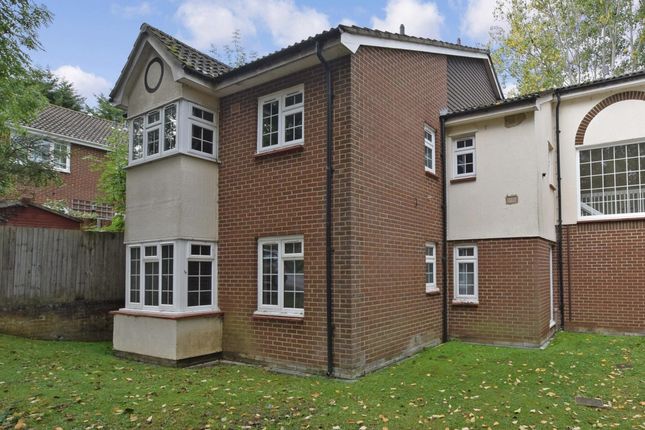 A Larger Local Choice Of Properties To Rent In Maidstone