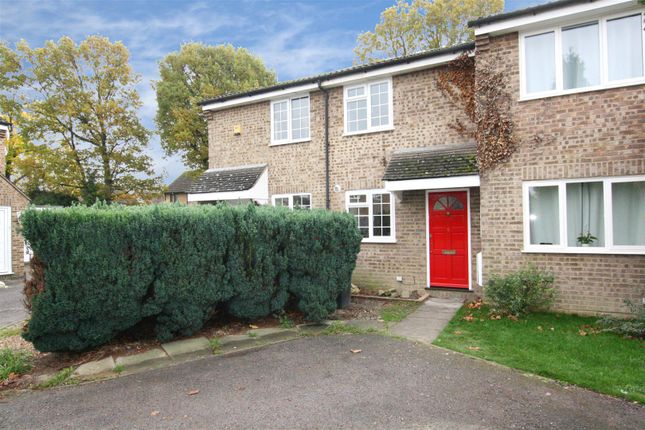 Thumbnail Property to rent in Harrowsley Court, Horley, Surrey.