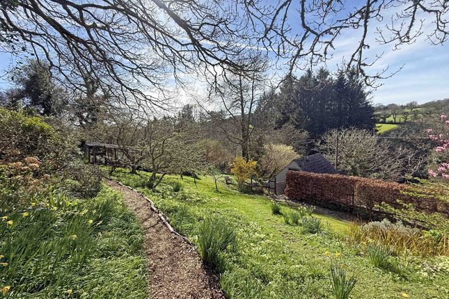 Grass Vale, Truro photo 3