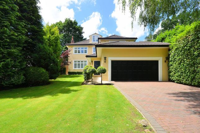 Thumbnail Detached house to rent in Henley Drive, Coombe, Kingston Upon Thames