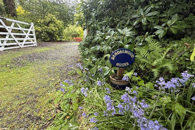 Sandal Wood House,, Burgh-by-Sands, Cumbria photo 4