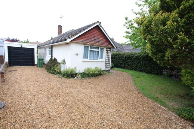 2 bed bungalow to rent in Green Lane, Chobham, Woking
