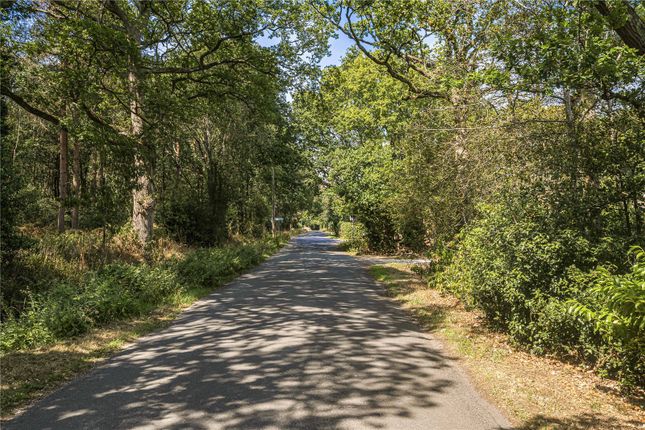 Rolphton,, Island Farm Road, Reading photo 2