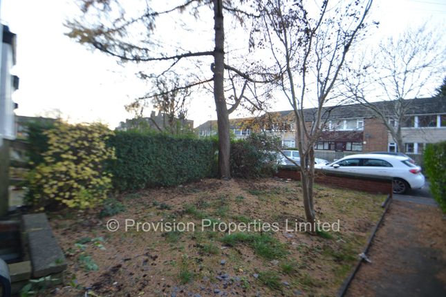 Ash Grove, Hyde Park photo 5