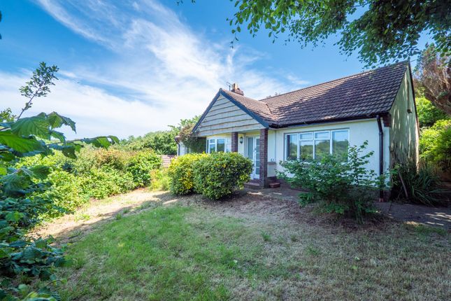 Thumbnail Detached bungalow for sale in West Ball Hill, Hartland, Bideford