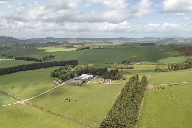 Thumbnail Land for sale in Tillyfour, Alford, Aberdeenshire