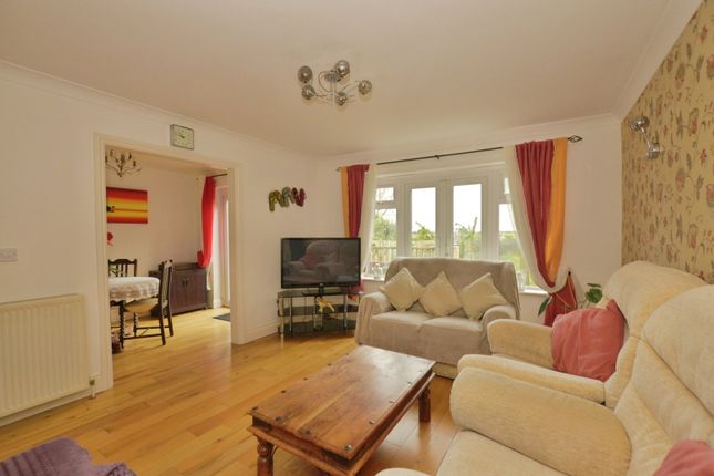 Triturus House,, Robin Hood Lane, Romney Marsh photo 2