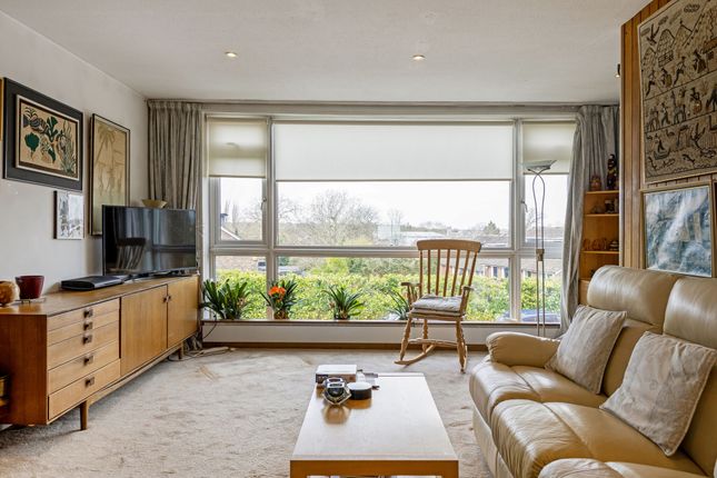 20, Little Bornes, London photo 2