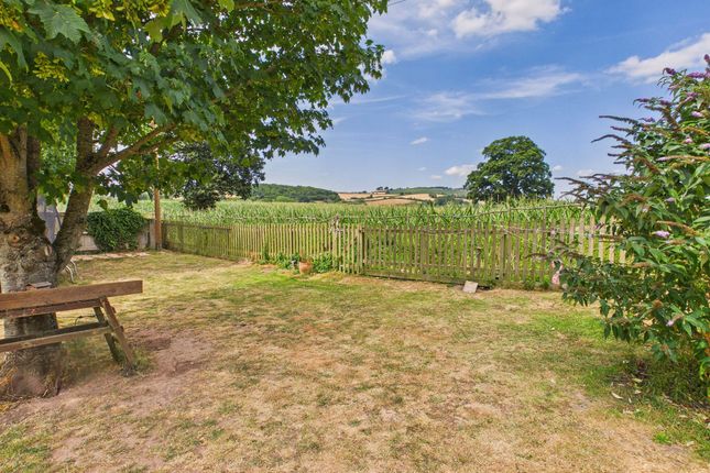 Primrose Cottage, Exeter photo 4