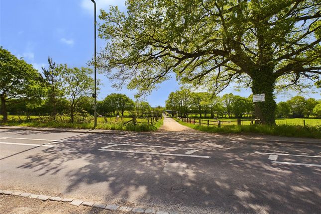 165, Guildford Road, Ash photo 5