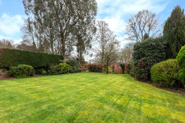 Detached house for sale in Snowdenham Links Road, Bramley, Guildford, Surrey