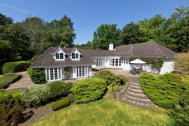 Thumbnail Detached bungalow for sale in Portnall Drive, Wentworth, Virginia Water