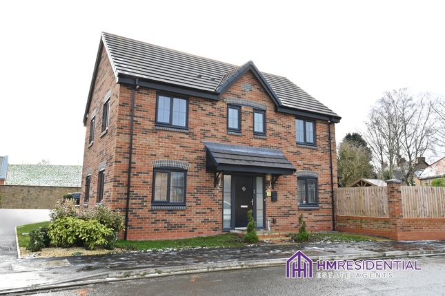 Thumbnail Detached house for sale in Asturian Way, Newcastle Upon Tyne