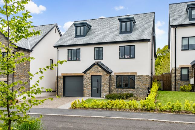 Detached house to rent in The Pinnacle, Old Totnes Road, Newton Abbot