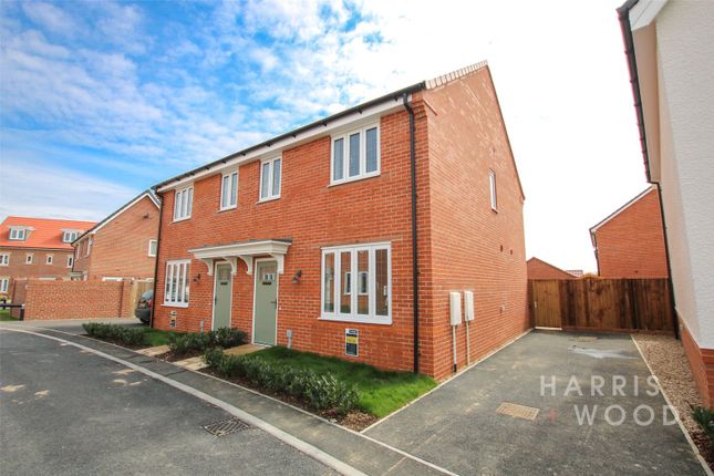 Semi-detached house to rent in Veritas Grove, Colchester, Essex