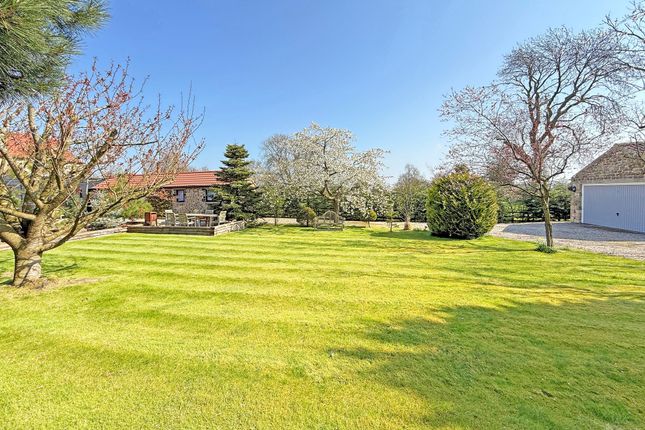 Greenwich Cottage, Harrogate photo 3