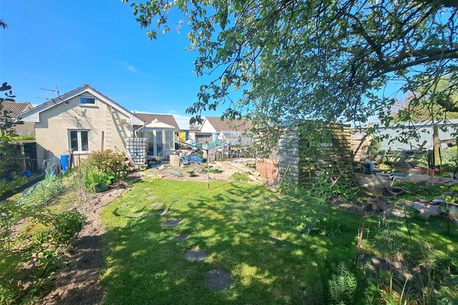 Tristram,, Biddisham Lane, Axbridge photo 2