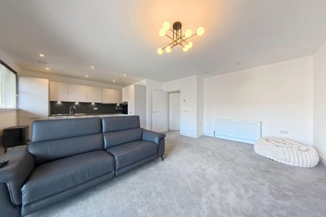 Persley Den Road, Persley, Aberdeen, AB21 9TU, Aberdeen photo 3