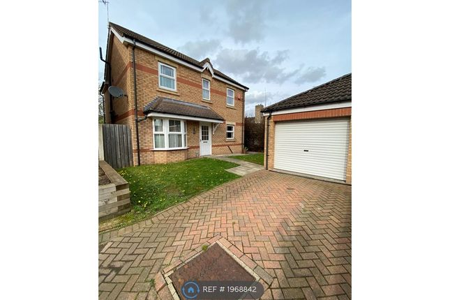Thumbnail Detached house to rent in Rosemary Close, Doncaster