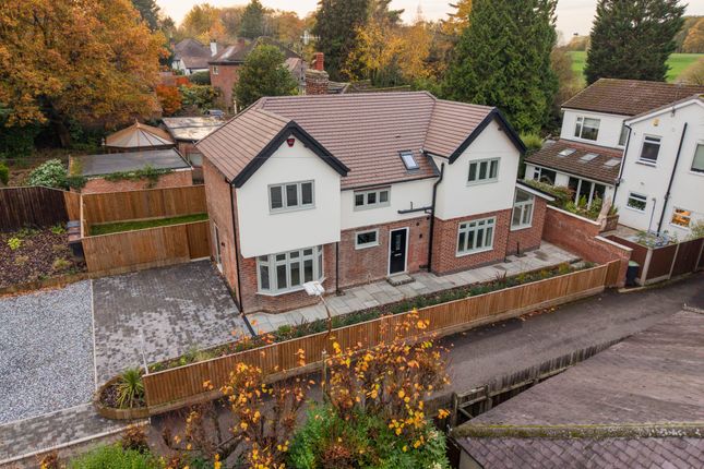 Dji_20251105160244_0037_D