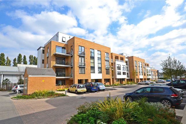 Thumbnail Flat to rent in Pym Court, Cromwell Road, Cambridge