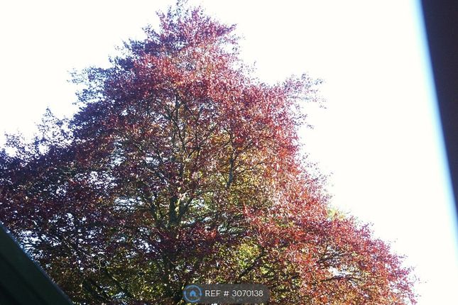 Providence House, Tylwch, Llanidloes photo 4