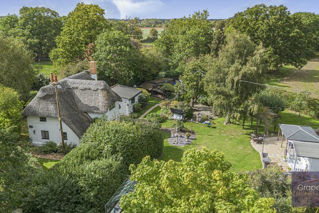 White Rose Cottage, Poplar Lane, Reading photo 2
