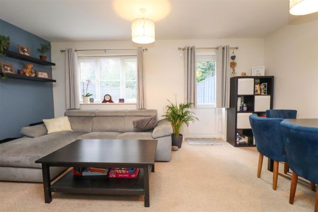 4, Judd Mews, Hook photo 4