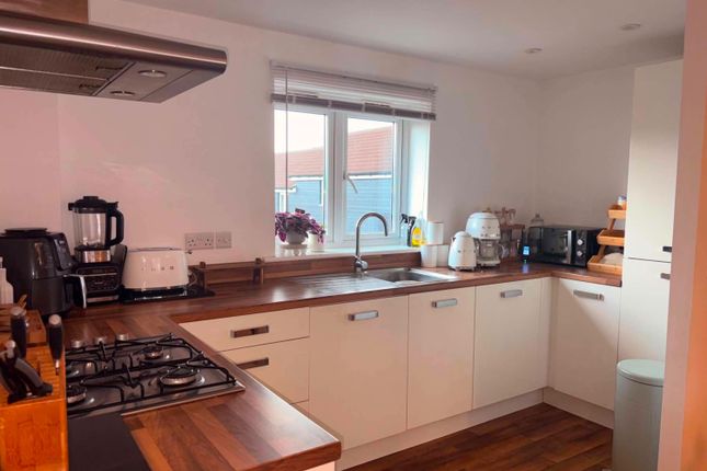 102, Falcon Crescent, Norwich photo 4