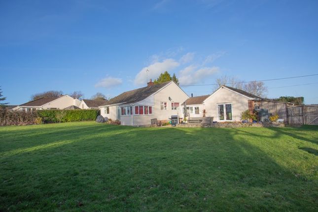 Detached bungalow for sale in Hatch Green, Hatch Beauchamp, Taunton