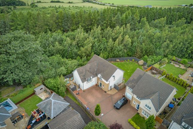 31, Castleton Crescent, Falkirk photo 2