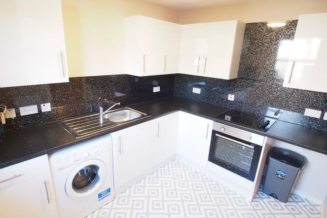 Thumbnail Flat to rent in Roslin Place, Aberdeen