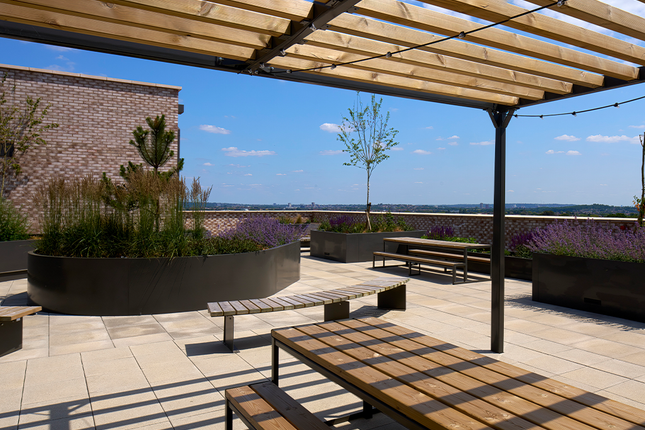 Roof Terrace