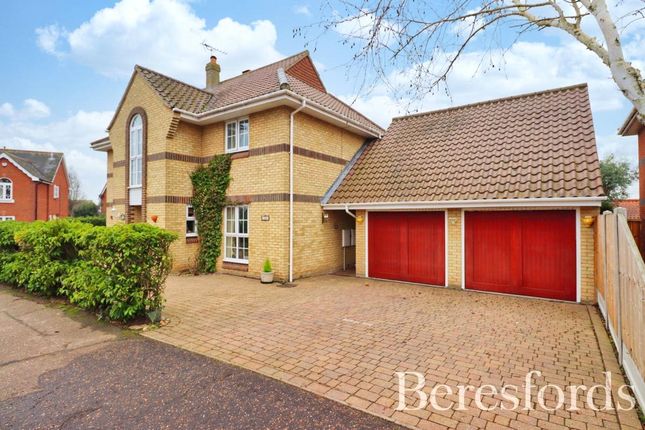 Thumbnail Detached house for sale in Celeborn Street, South Woodham Ferrers