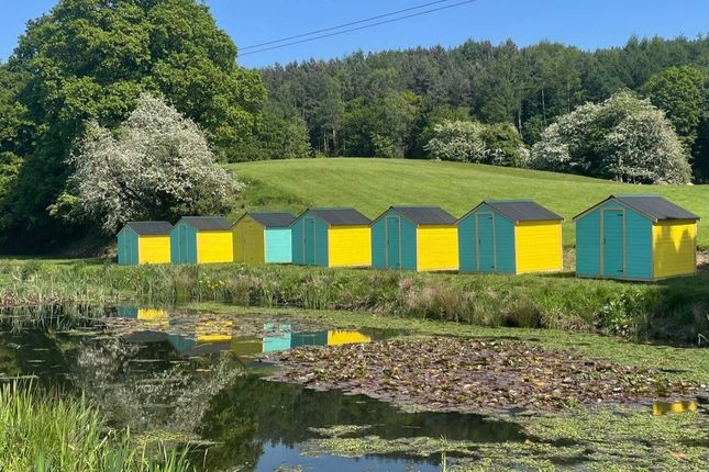 Thumbnail Commercial property for sale in Poxwell, England, United Kingdom