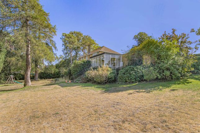 Pinewood House, The Dip, Newmarket photo 2