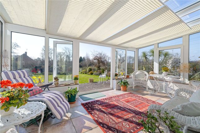 Orchard Cottage,, Hawksfold Lane East, Haslemere photo 4