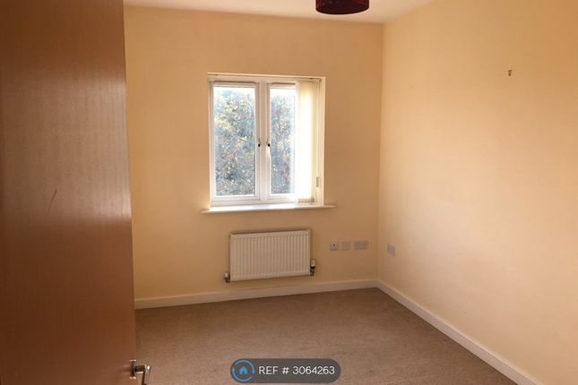 Park Lodge, Cooke St Bentley, Doncaster photo 4