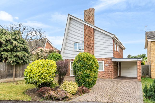 Detached house to rent in St. Nicholas Drive, Shepperton