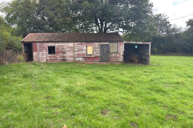 Penlon Gilfach, Saron, Llandysul photo 3