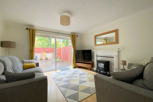 3, Orpington photo 3