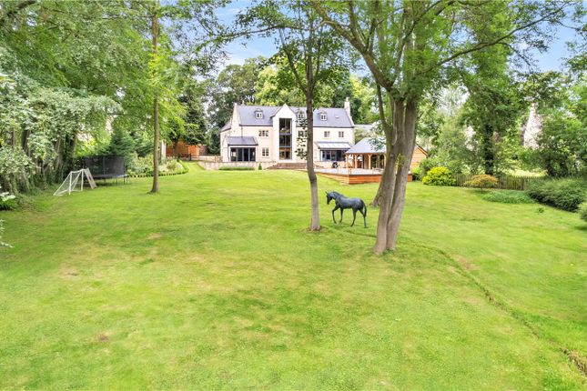 Rear Gardens