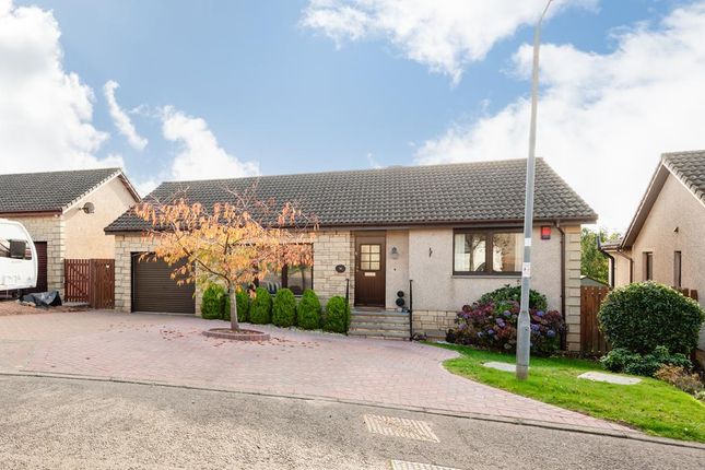 Lev1395Pem External.Jpg