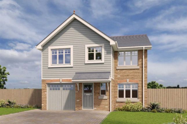 Detached house to rent in The Radleigh, Phase 2, Royal Park, Ramsey